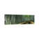 Stepped Walkway Passing Through A Bamboo Forest, Arashiyama, Kyoto Prefecture - Wrapped Canvas Panoramic Print