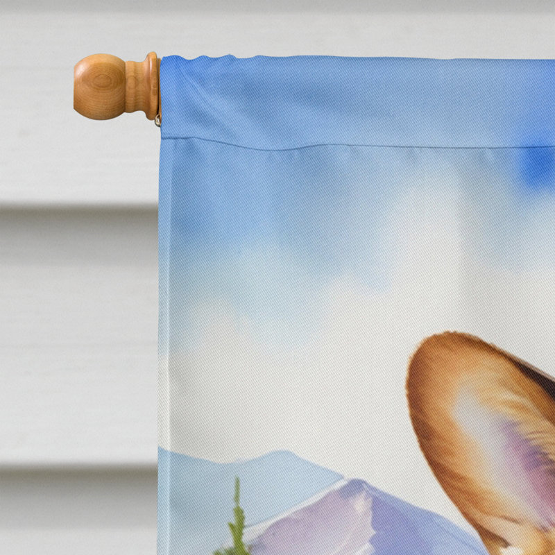 Drapeau Cowboy Welcome House, Corgi