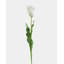 Real Touch Lemon Parrot Tulip 27"-1888593903
