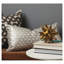 Urchin-28075746-64029206
