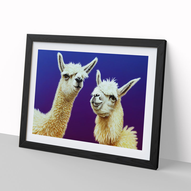 Thrilling Llamas - Single Picture Frame Print, Black Framed, 46cm H x 64cm W x 2cm D