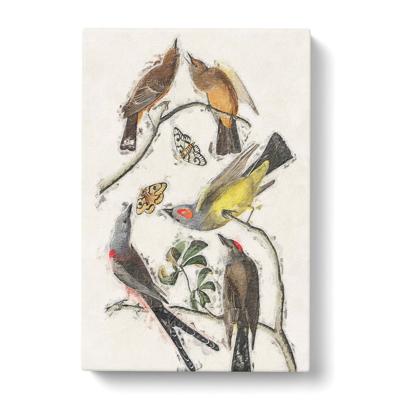 Flycatcher Birds - Wrapped Canvas Painting, 60cm H x 40cm W x 3cm D