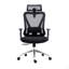 Chaise de bureau en maille vraiment ergonomique avec appui-tête et soutien lombaire