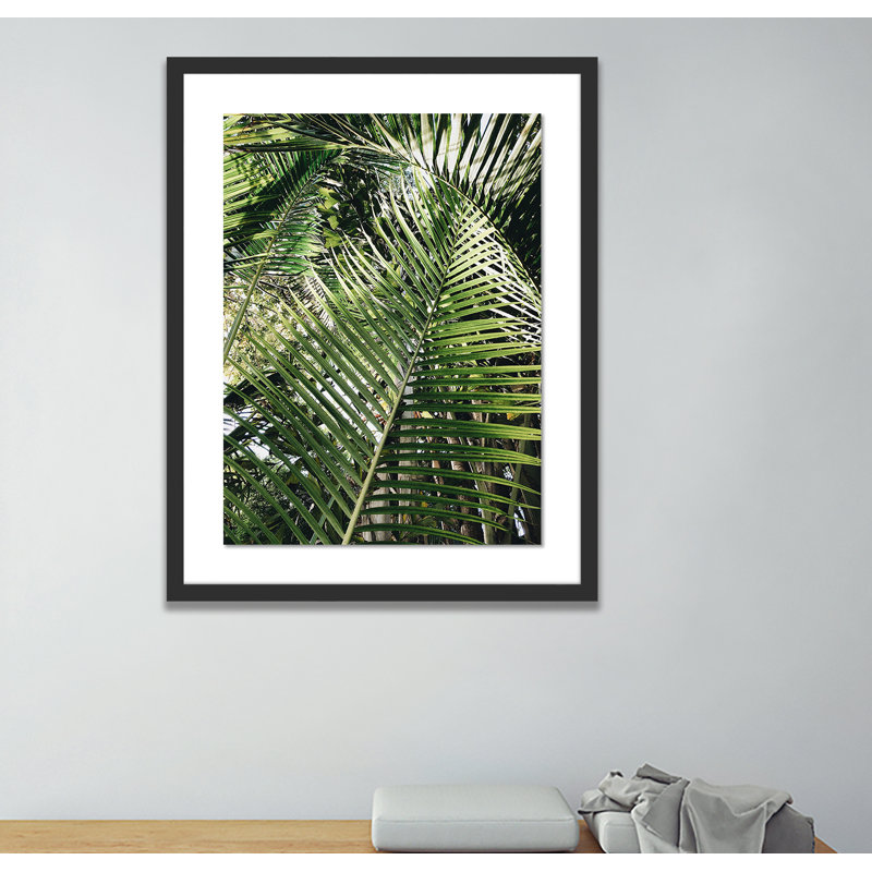 Palm I Print by Vitaliy Paykov, Black, 40" H x 32" W x 2.5" D