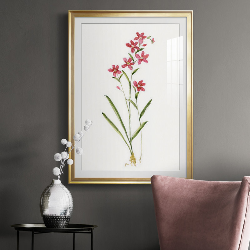 Délicat rose I - Cadre photo, reproduction d'art sur papier, Or, H 26,5 po x l 36,5 po x P 1,5 po