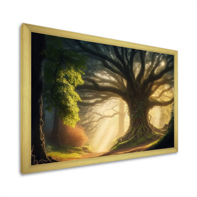 " Sunshine Through The Branches Of Majestic Tree "