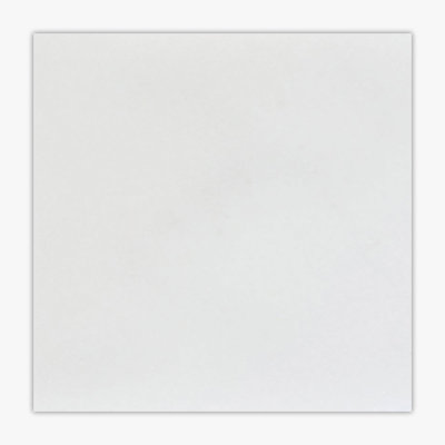Thassos White Honed 12x12 Marble Tile