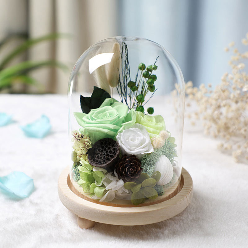 Nolanville Glass Display Dome with Wooden Base for Tabletop, 15cm H x 11cm W x 11cm D