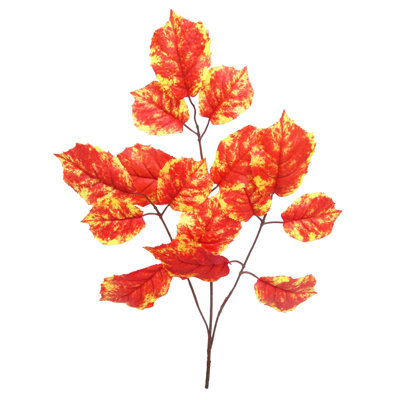 Hazelnut Leaf Spray Branch