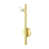 Satin Brass