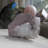 Edmea Landscape & Nature Figurines & Sculptures