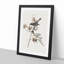 Pewit Flycatcher Birds by John James Audubon - Picture Frame Painting Print-55583101-55583106