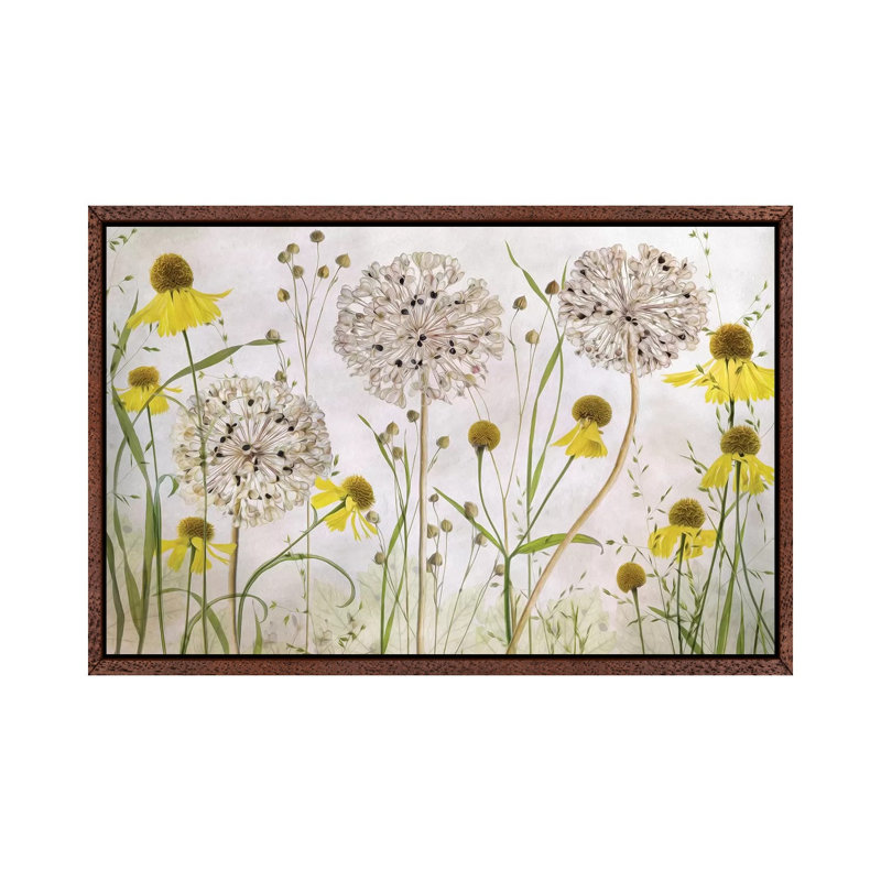 Alliums And Heleniums by Mandy Disher - Print on Canvas, Classic Brown Wood Framed, 66.04cm H x 101.6cm W x 3.81cm D