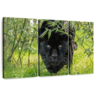 Brampt Lurking Black Jaguar