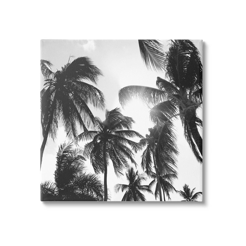 Sunlit Palm Tree, photographie d'art numérique par Natalie Carpentieri, H 30 po x l 30 po x P 1,5 po, Toile tendue