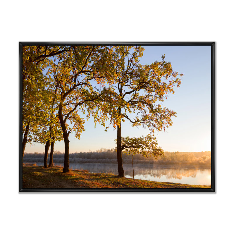 Décoration murale en toile Oak Grove par The River, H 30 po x l 40 po x P 1,5 po, Toile avec cadre flottant noir
