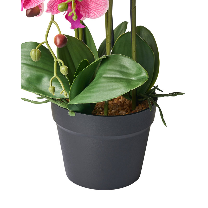 65cm Faux Orchid Plant in Pot