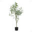Bonsaï artificiel en feuilles d'eucalyptus-2139249104