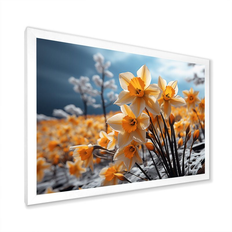 Daffodils Field Yellow Vibrant II - Imprimé, H 16 po x l 32 po x P 1 po, Cadre simple blanc