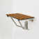 Seachrome ADA Transfer Bench