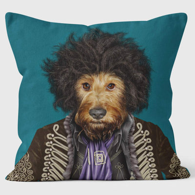 Psychedelic - Pets Rock Cushion