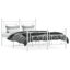 Aceion Metal Bed-1631757963-1631757974