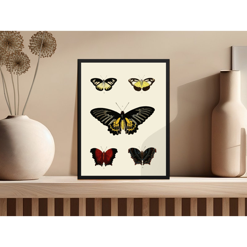 Print, 16x24