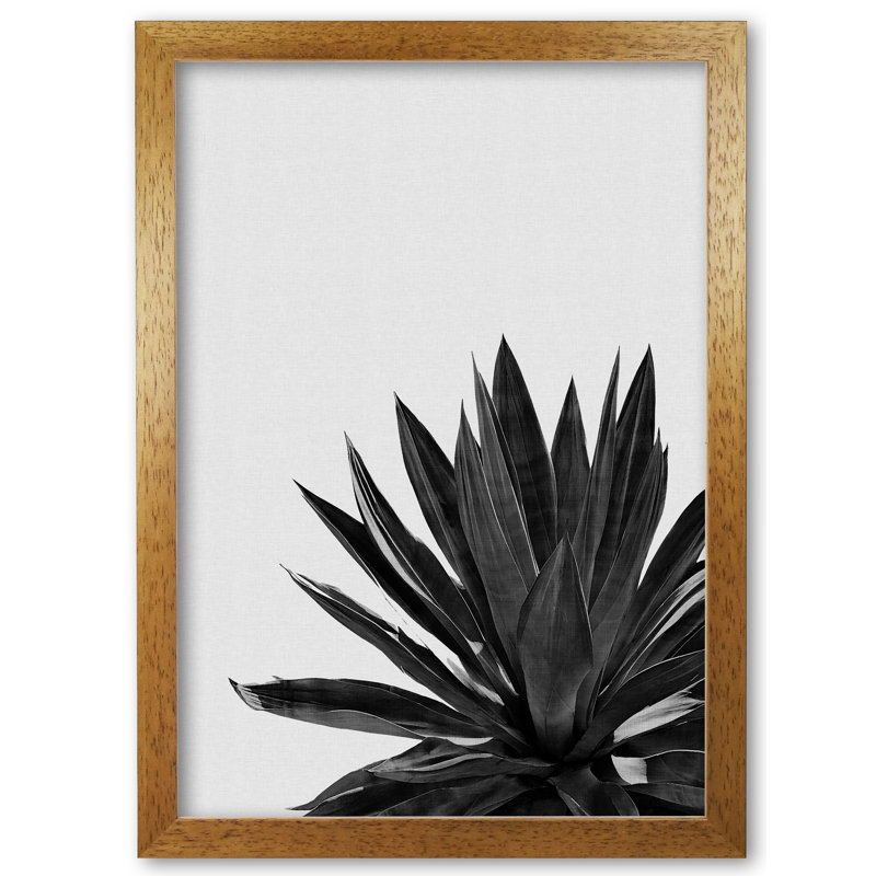 Agave Cactus - Single Picture Frame Print, Honey Oak Frame, 85 cm H x 60 cm W x 5 cm D