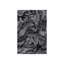 Bristlecone Study I Print by Harold Davis-26677858-26677857