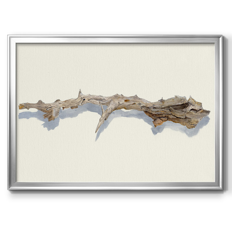 Driftwood Study I-Framed Gallery Wrapped Canvas, Silver, 14" H x 20" W x 1.5" D