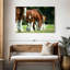 Brampt Clydesdale Horses-115333975