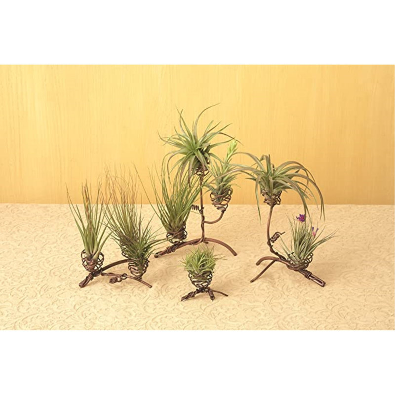Handcrafted Triple Air Plant Holder with Flamed Finish