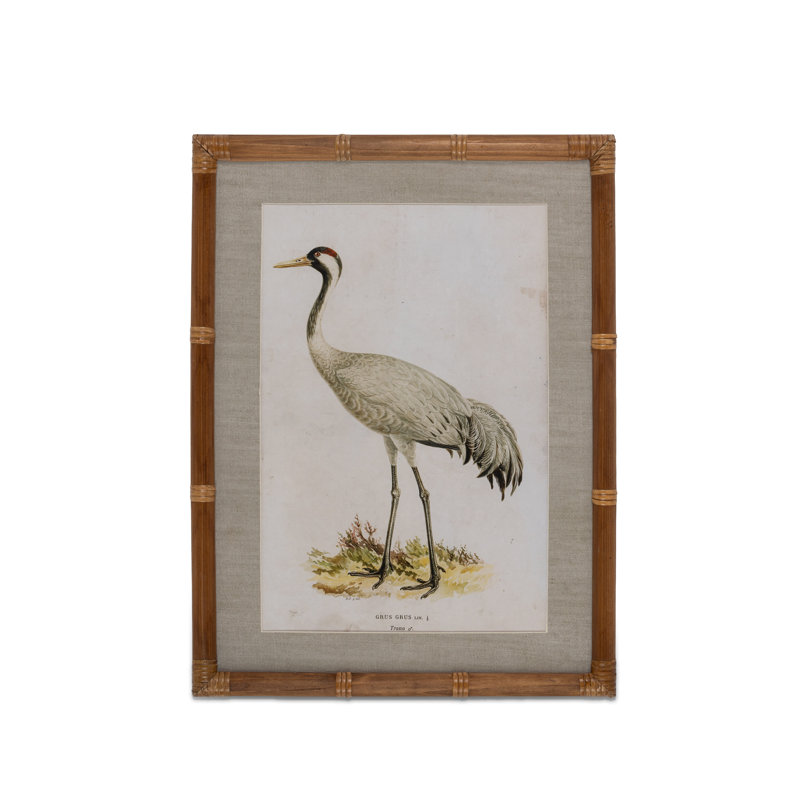 «Wading Bird Prints», ensemble de 4