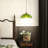 1-Light Single Novelty Glass Pendant-1586963914
