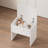 Vanity Table Set with 3 Adjustable Lighted Mirror and Storage Chair