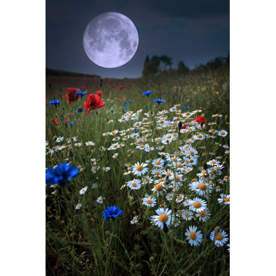 Myanh Moonrise Over Green Field - impression