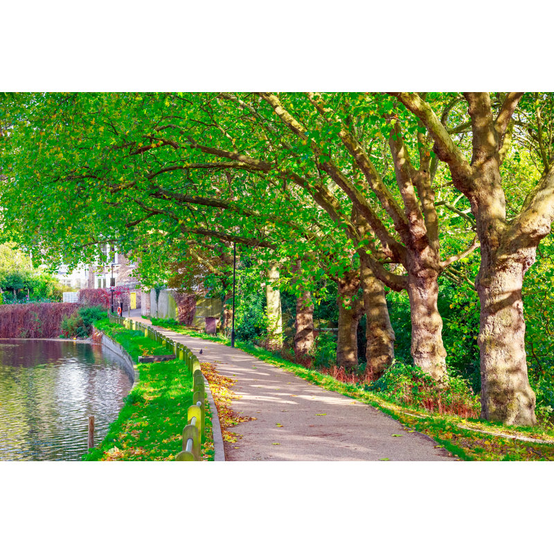 Hampstead Heath - Photographie sur toile tendue, L 12 po x H 8 po