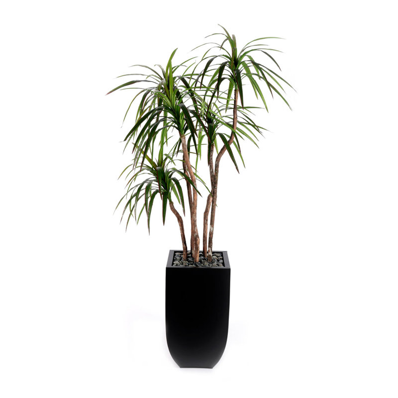 Yucca de 78 po, troncs de bois véritable, pierres en pot d'étain noir