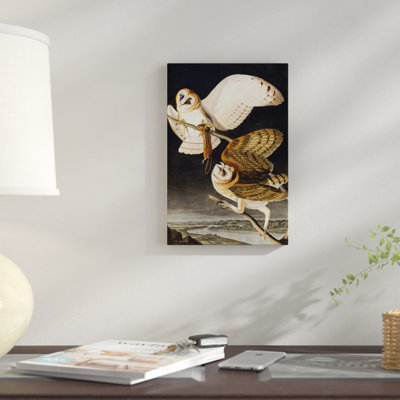 «Barn Owl Audubon Commission», impression sur toile