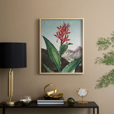 Temple of Flora I Framed Print - Solid Wood