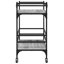 Newlon Metal Bar Cart-2120212664