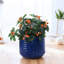 Pot de fleurs rond en céramique de 40 cm (16 po), grand pot intérieur/extérieur avec trou de drainage - Bleu foncé