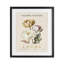 Lot de lotus naturel, reproduction encadrée sous verre, design par Christopher Giampietro-300364028-300364027