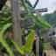 Photos des clients 1 de 1