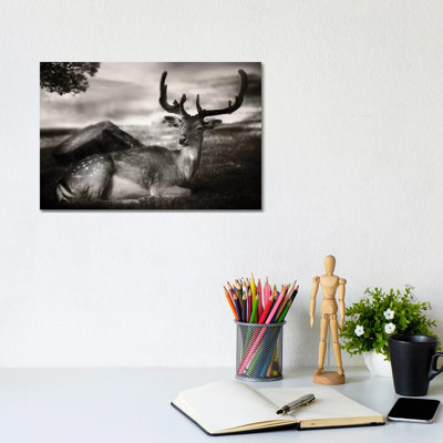 Resting Bambi by Sandra Štimac - Wrapped Canvas Gallery-Wrapped Canvas Giclée