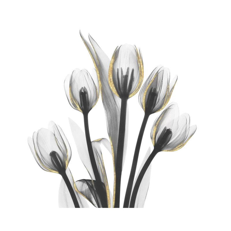 Gold Embellished Tulips I by Albert Koetsier - Wrapped Canvas Print, 30.48 cm H x 30.48 cm W