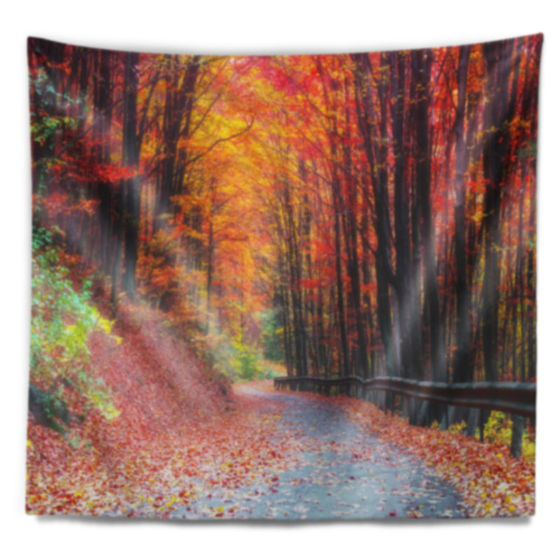 Route dans une magnifique tapisserie d'automne, H 32 po x l 39 po