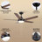 Modern 48''/56'' 5-Blade LED Standard Indoor Ceiling Fan with Remote Control and Light Kit Included-452111344-452111350