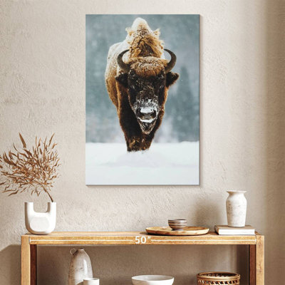 Impression sur toile Winter Buffalo
