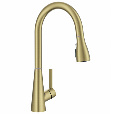 Pull Down Kitchen Faucet With Deck Plate